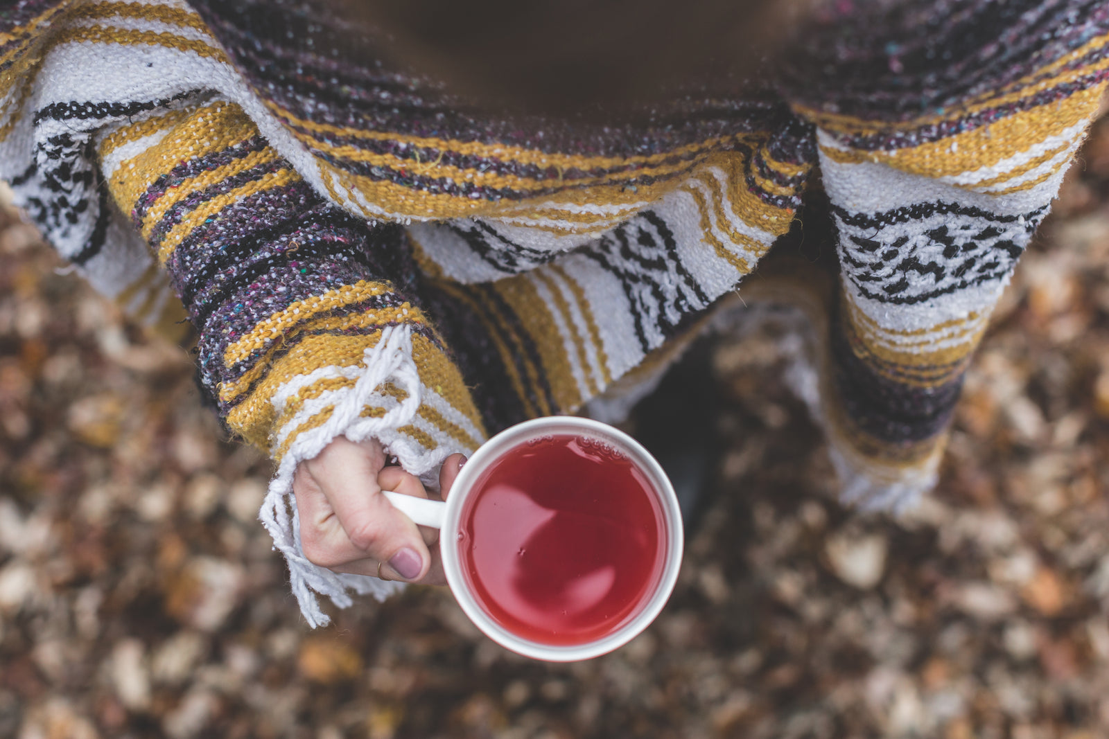 rooibos_tea_in_hand