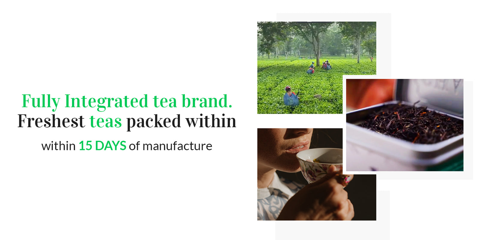 chaicraft_tea_cycle_image