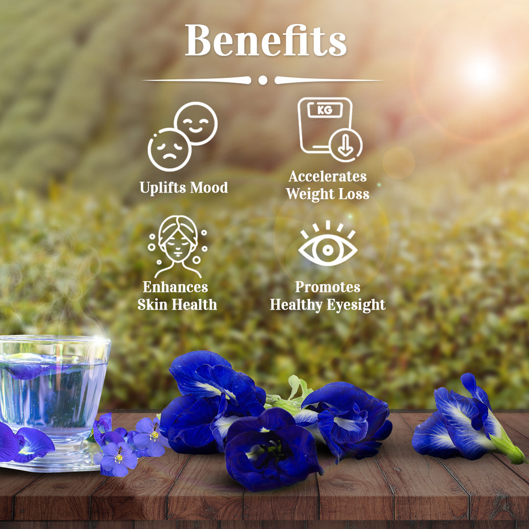 Benefits of Butterfly Pea tea with butterfly pea flower and brewed tea